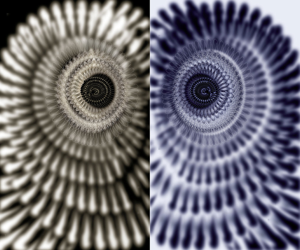 Hibou Night and Day / Création numérique sous Diasec / Dyptique 160 x 96 cm x 2 / 2015