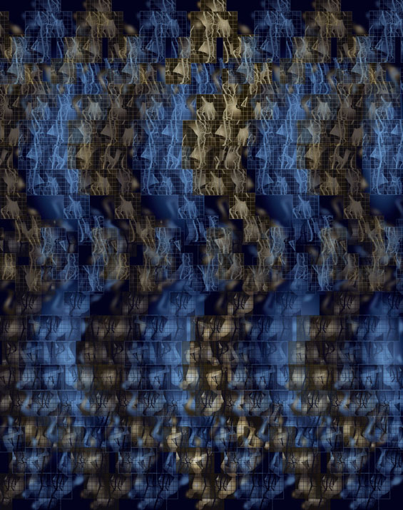 Hippocampe / Création numérique sous Diasec / 120 x 151cm / 2016