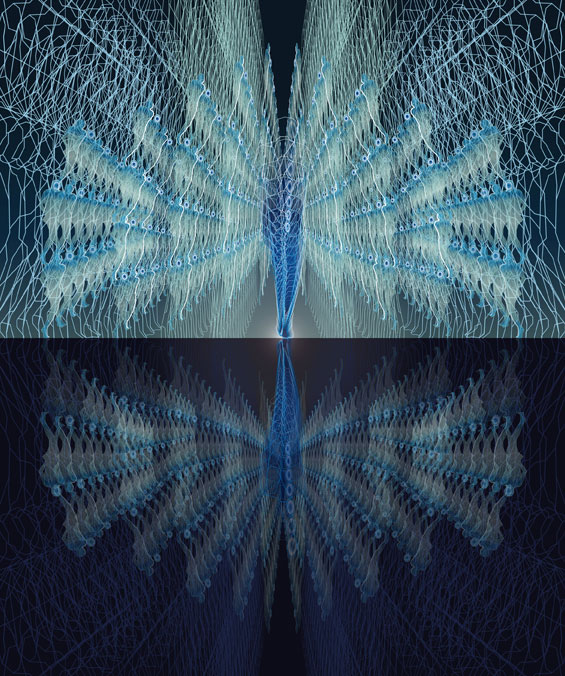 La Roue du Paon / Création numérique sous Diasec / Dyptique 99 x 165 cm x 2 / 2014