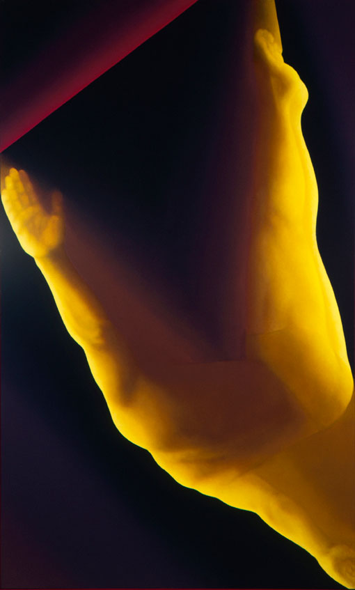 Le Saut de l'Ange / acrylique sur toile / 146x89cm / 1982