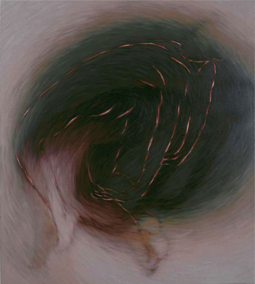 Cerf-Volant